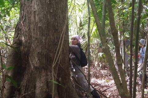 a woman at the foot of a large tree in the jungle