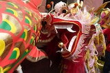 People celebrate Chinese Lunar New Year in Melbourne