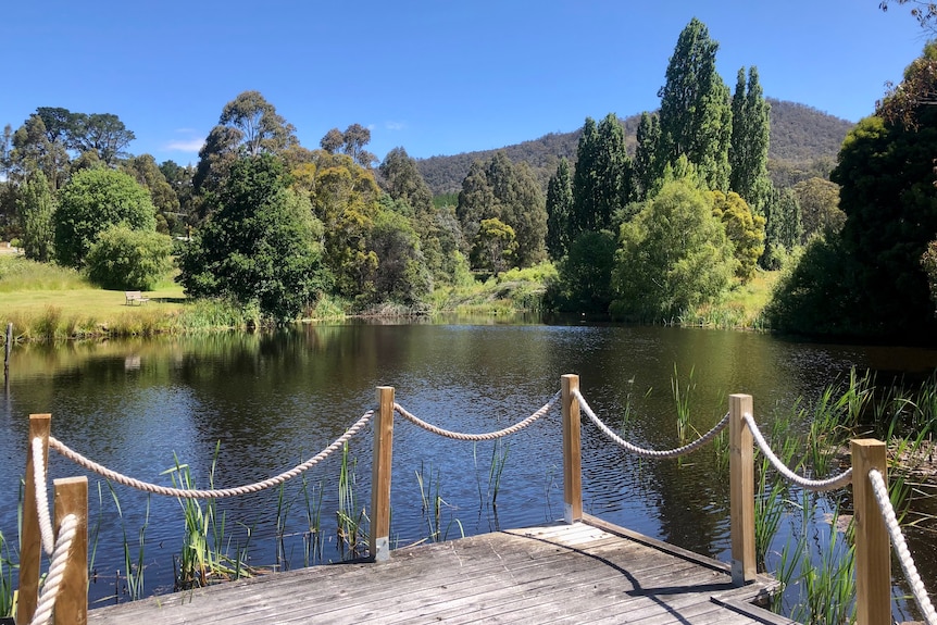 A beautiful dam with trees and a mountain in the distance.