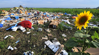 Scene of MH17 crash