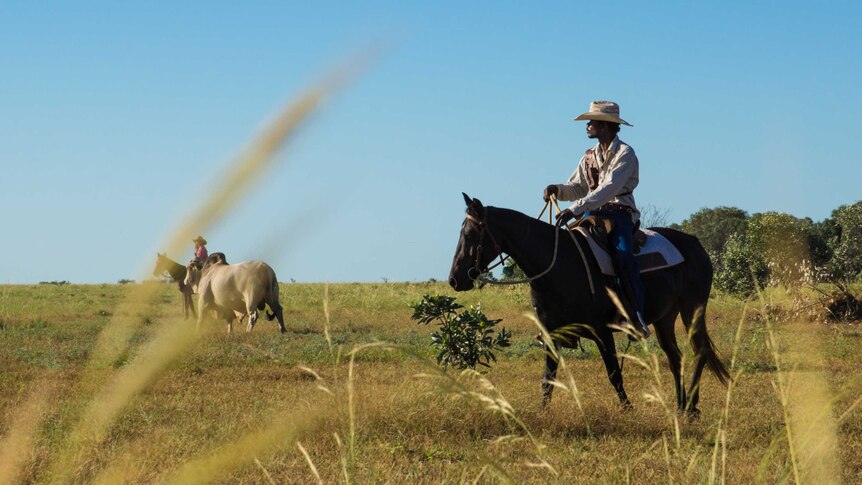 Two stockmen ride horses in a field. A cow is between them.