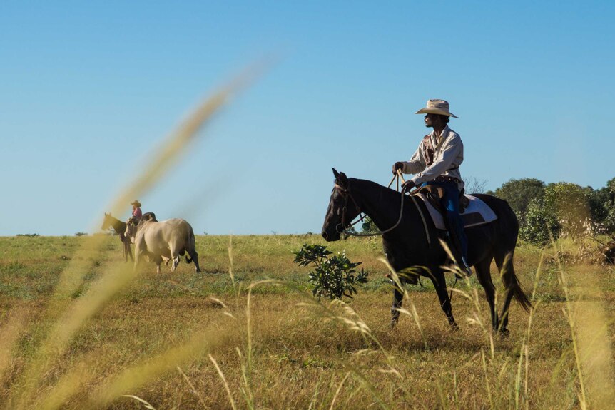 Two stockmen ride horses in a field. A cow is between them.