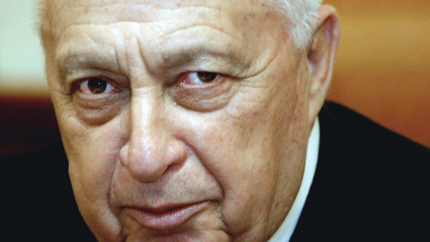 Israeli prime minister Ariel Sharon attends an official meeting at his Jerusalem office.