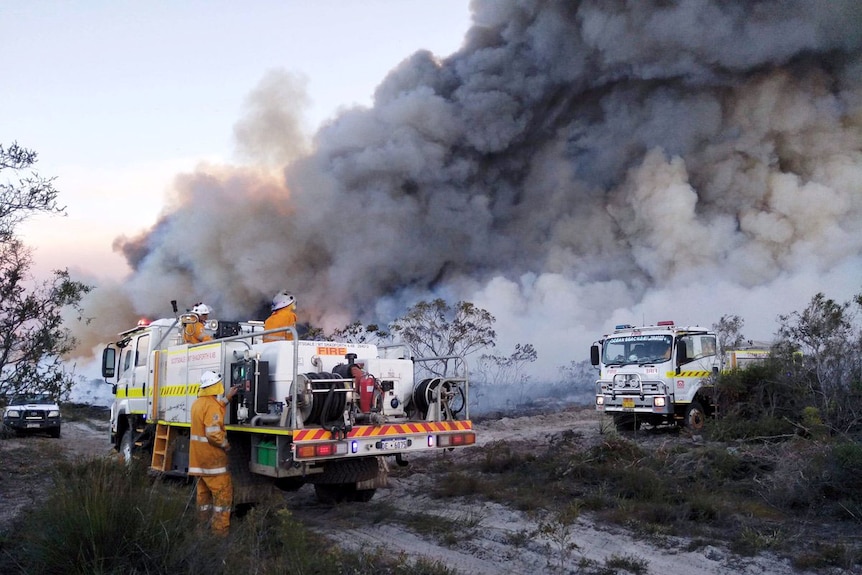 Firefighter stand with firetrucks with a smoke plume nearby.