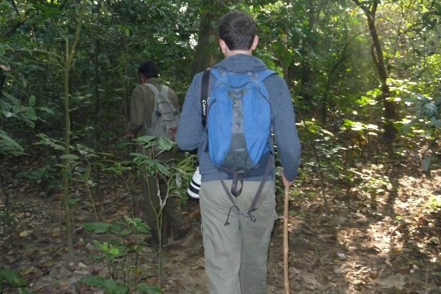 Portrait of a man from behind walking through a off beaten track in the jungle with a guide.