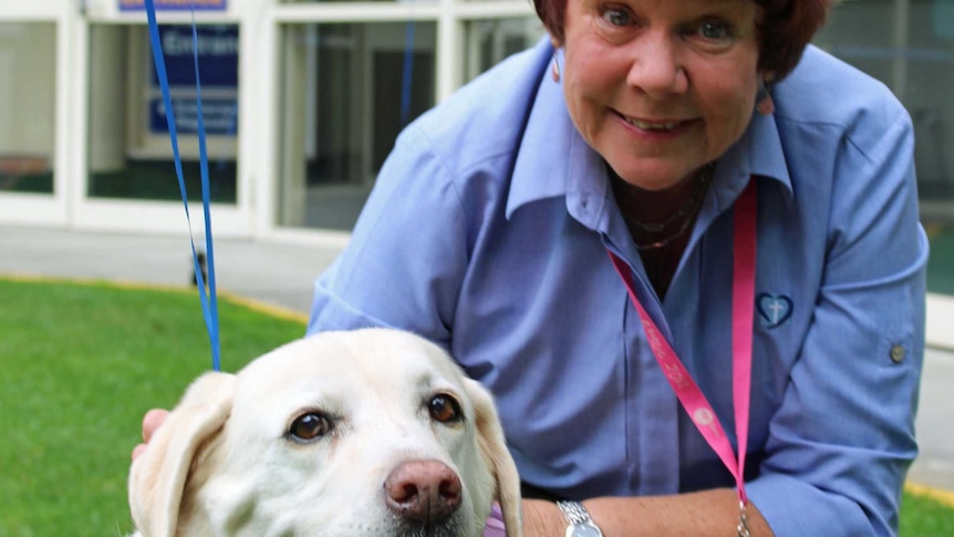 Retiring hospital dog Millie-Mae gets a farewell pat from Calvary Hospital volunteer Robin Taylor.