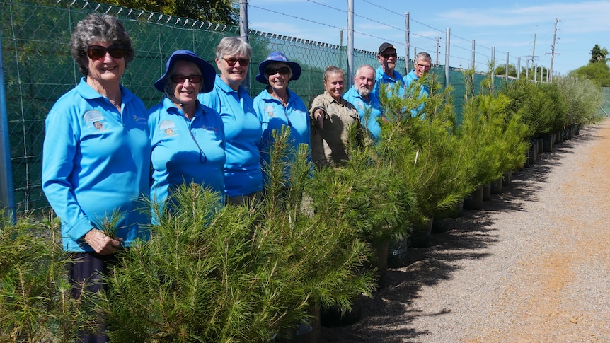 Eight men and women stand in a line behind green lone pine trees on gravel, smiling at camera. The sky is blue.