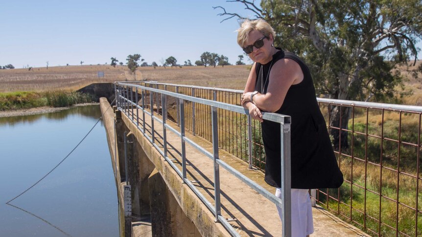 A woman leans on the railing at a country water weir