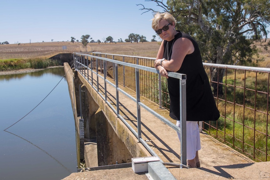A woman leans on the railing at a country water weir