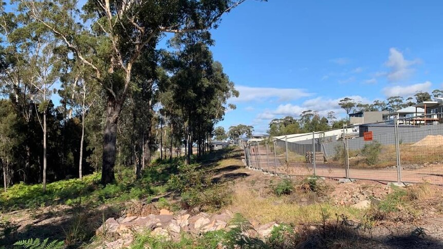 A bushland with a construction fence running along it, with housing on the other side.