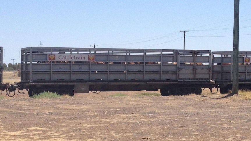 Queensland Rail cattletrain in the state's central-west