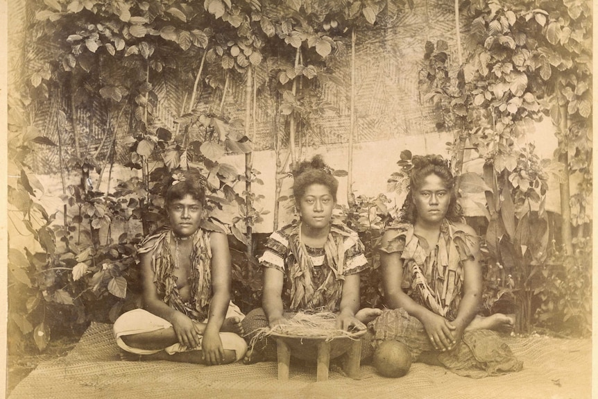 Three Samoan women preparing to make kava. They are seated on mats in a row in front of a screen of plants and tapa cloth.