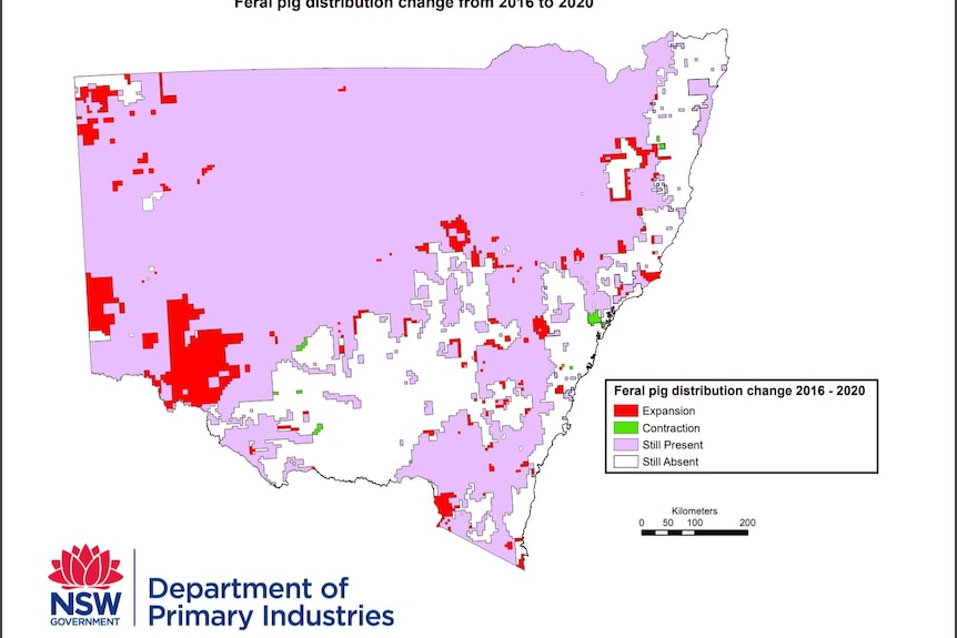 A map showing the distribution of wild pigs across New South Wales.