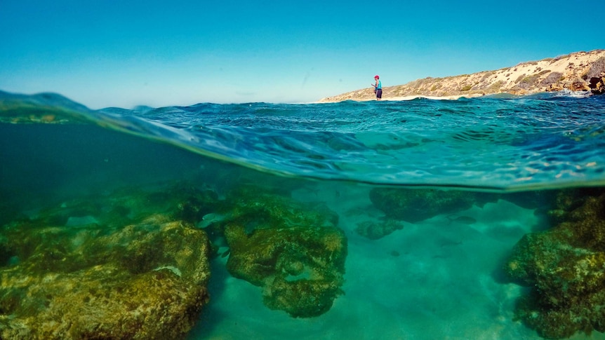 A close-up of ocean water, with a woman standing in water in the distance.