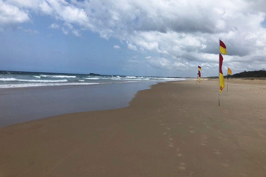 Red and yellow surf lifesaving flags on Marcoola Beach with ocean in view.