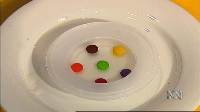 Six chocolate smarties sit in a flat dish in a circular pattern