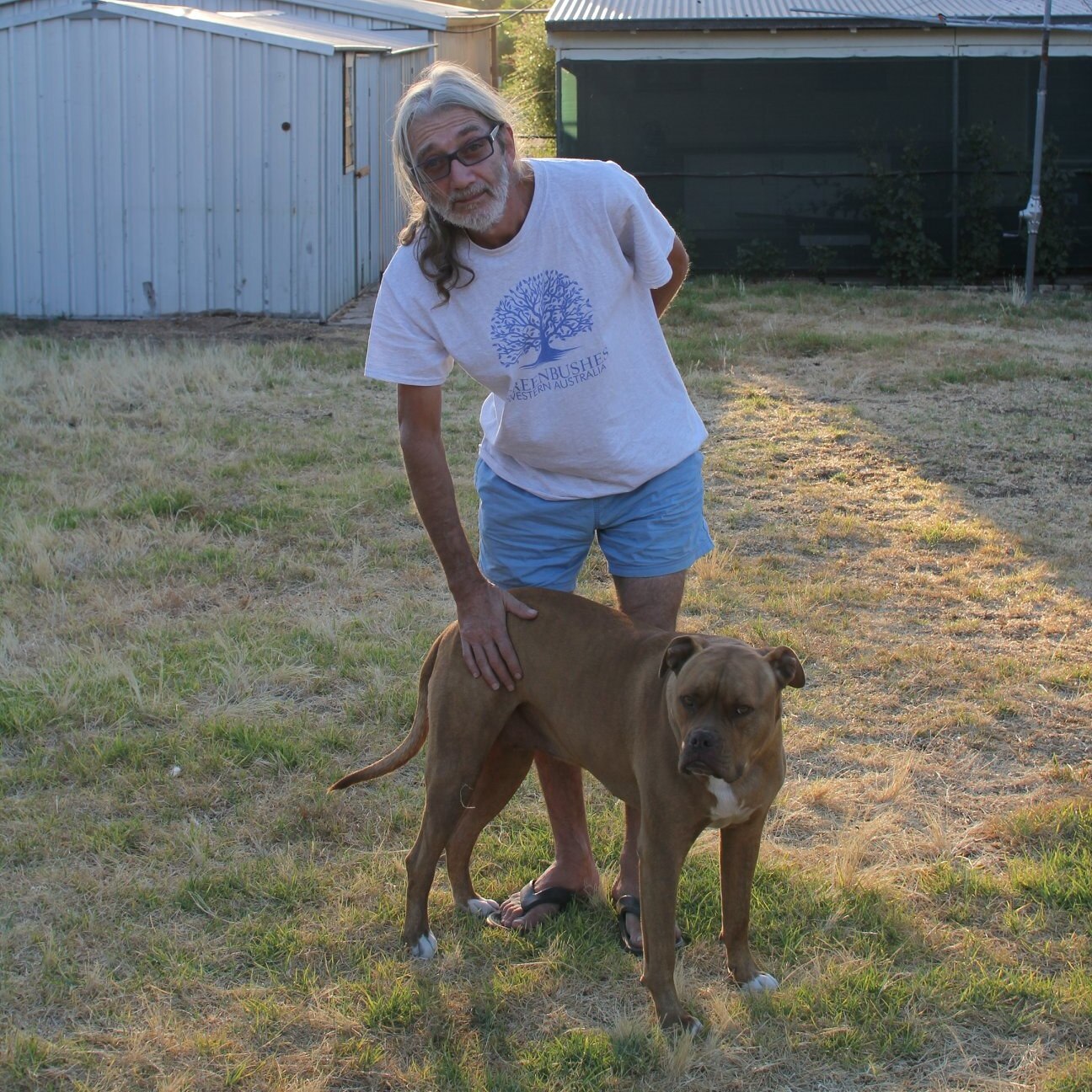 An older man with a long pony tail pats a big dog.
