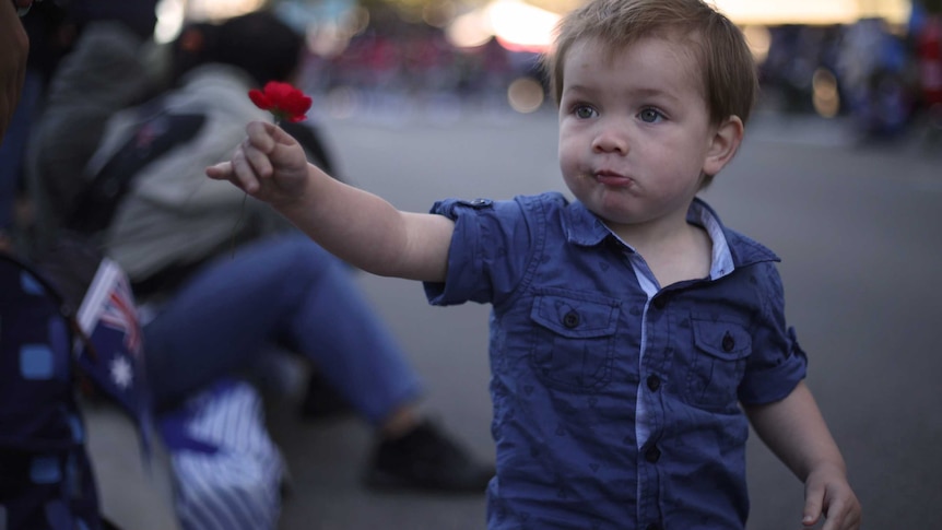 A toddler in a blue shirt holds a red poppy in his outstretched arm towards a person.