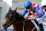 Streama wins the Doomben Cup