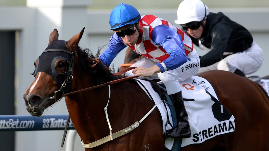 Streama wins the Doomben Cup