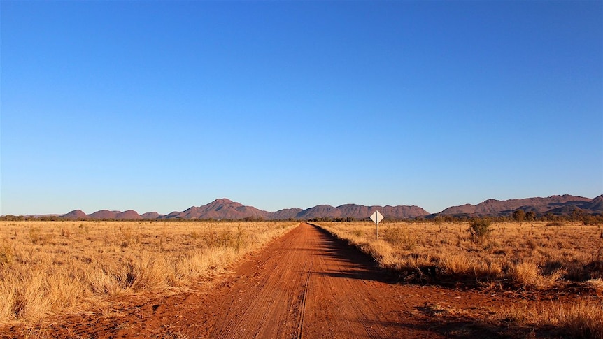 Grass either side of a dirt road in the NT