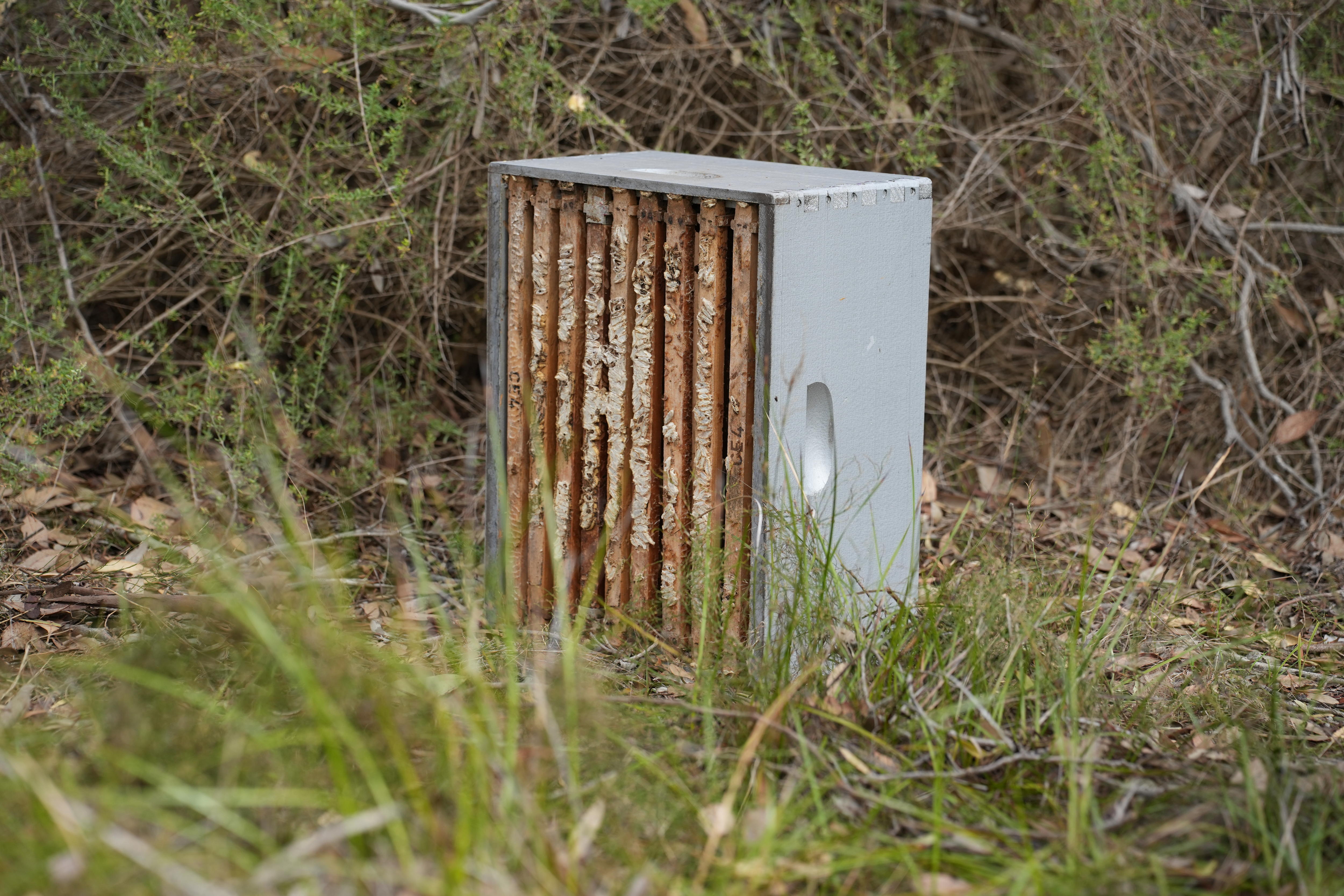 A bee hive 