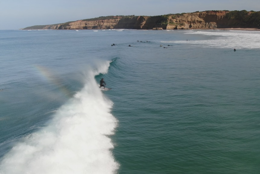 A drone photo of a surfer standing up on a wave as other surfers paddle in the background.
