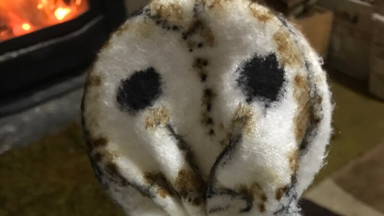 The owl hand puppet used to feed the chicks.