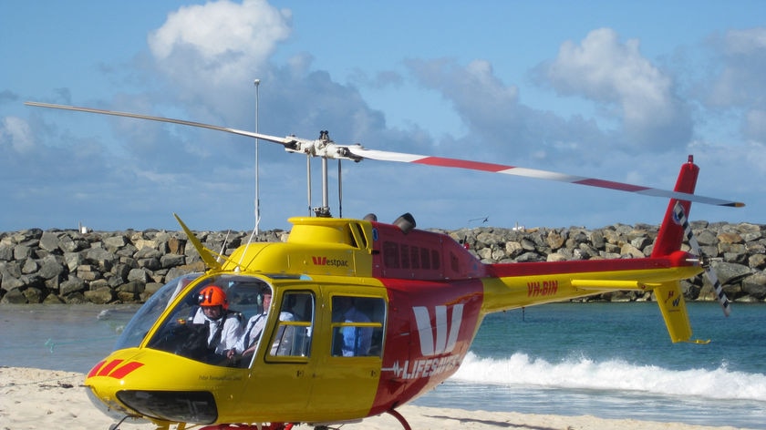 Aerial patrols will only resume if there are further sightings, Surf Life Saving officials say.