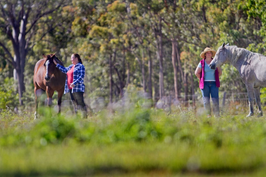 Two women stand with horses in long grass in a paddock