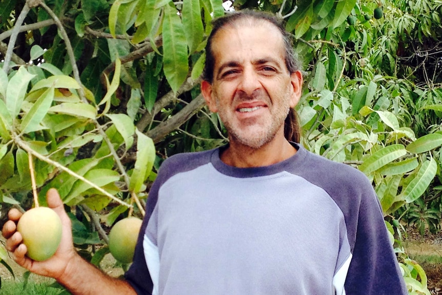 Peter Manolis holds one of his mangoes in his hand.