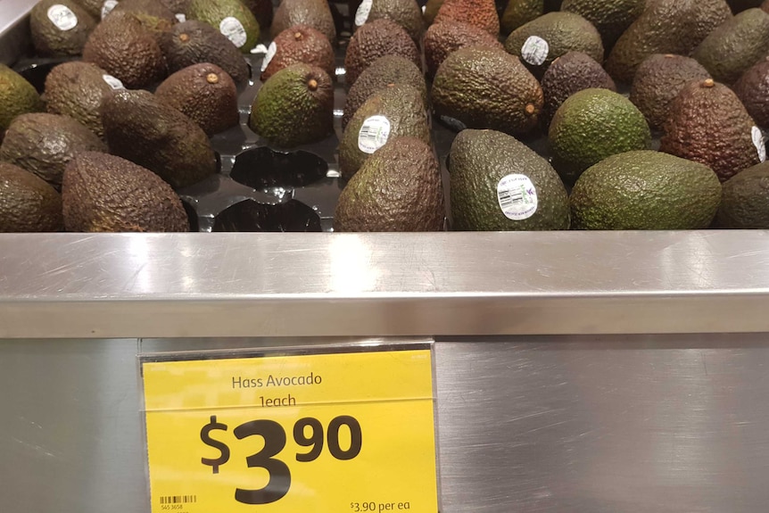 Bruised-looking avocados on a supermarket tray.