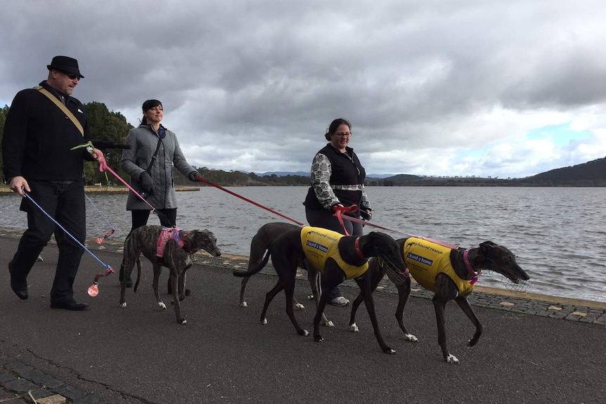 People march in Canberra to support a ban on greyhound racing.