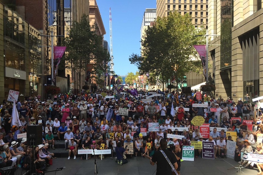 Protesters fight against NSW road projects