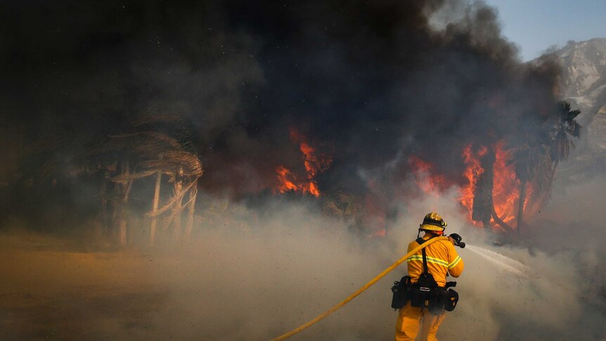 Wildfires in California continue towards Ojai city (Photo: AP/ Jae C Hong)