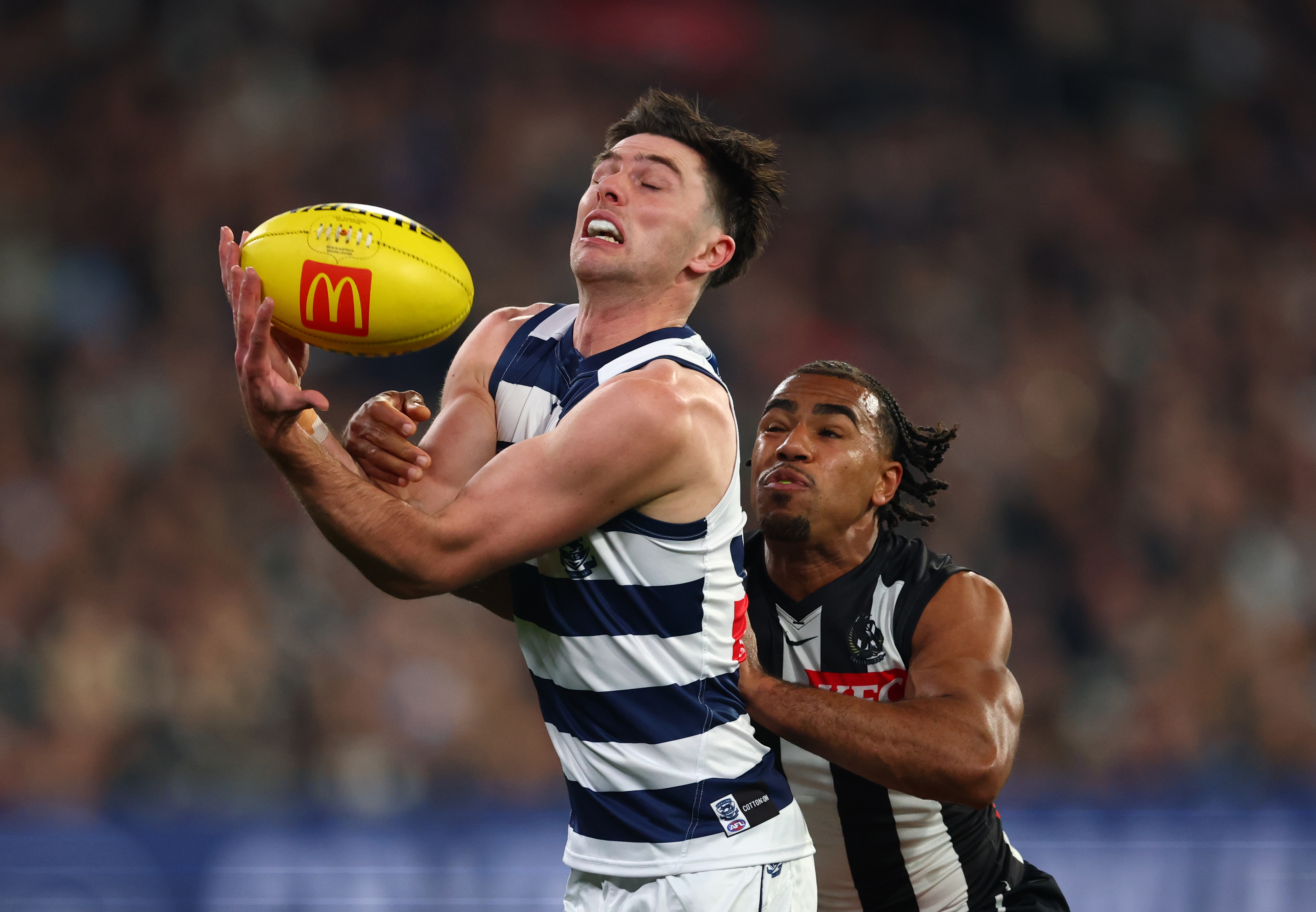 Cats leap back into top six and does Butters know where he'll land next year?