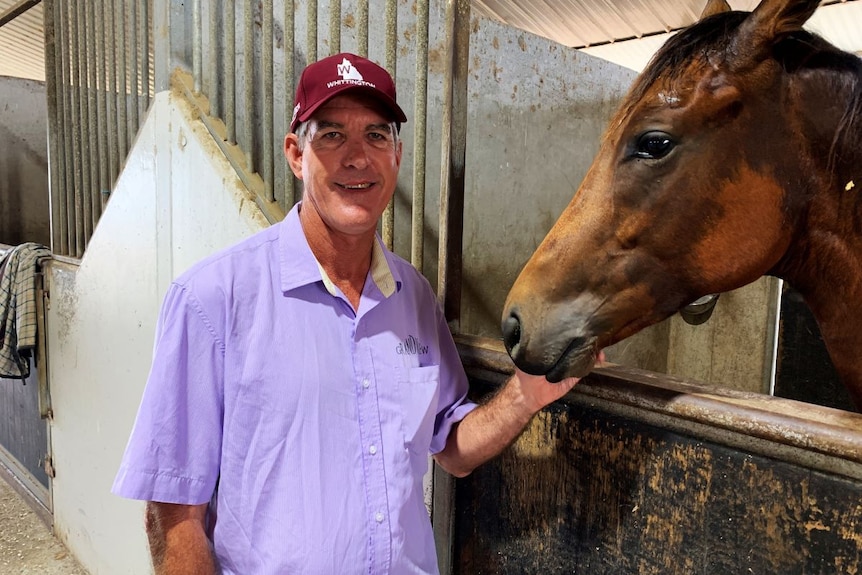 A man in a purple shirt stands by a brown horse.