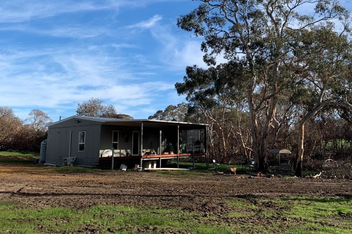 A new grey house on a grassy clearing surrounded by trees