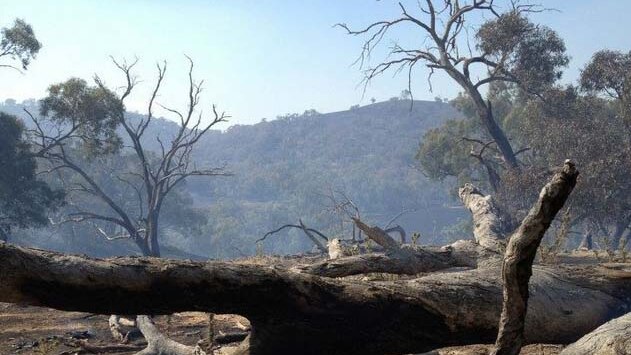 Bushfire damage on a rural property in Bookham