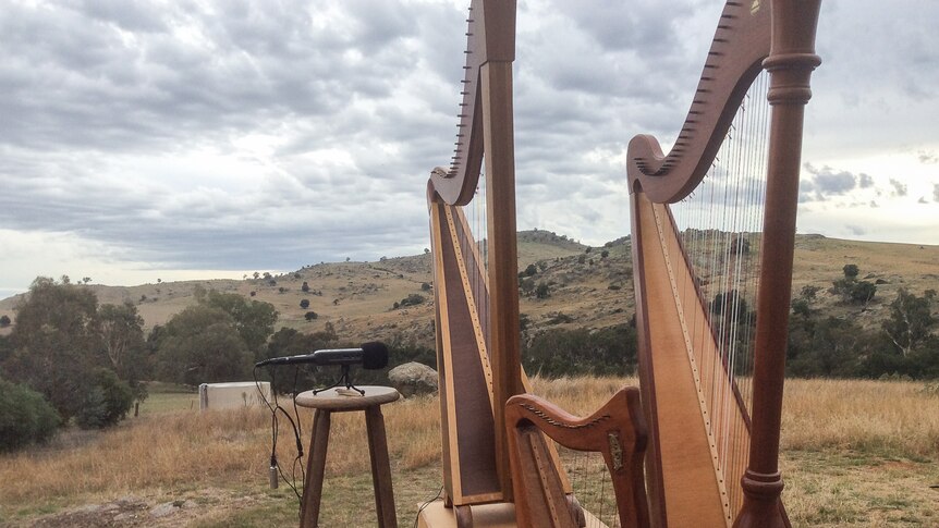 Two large and one small harps sitting on a wooden platform with a microphone recording them with country hills in the background