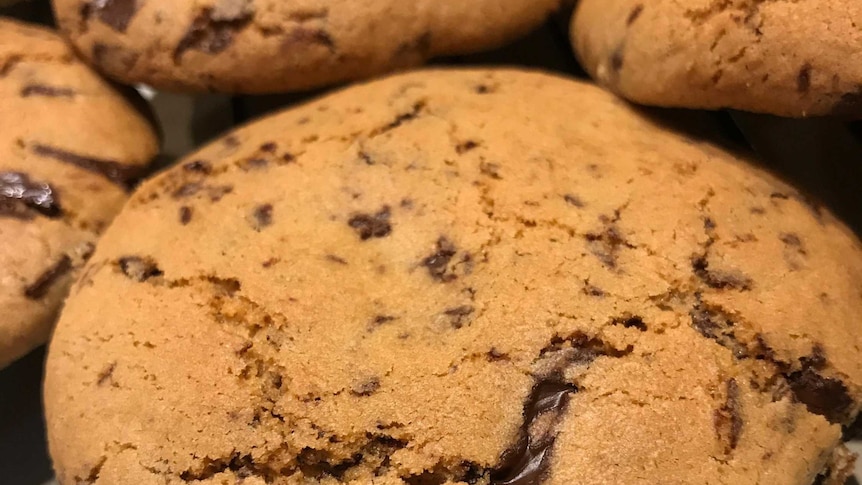 Gluten free choc chip cookies on a wire rack