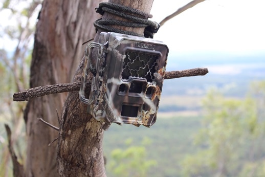 Ten hidden cameras at sites across 2,000 hectares