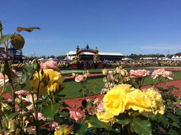 Melbourne Cup: Flemington 'slow lane' confirmed by Fame Game jockey Zac ...