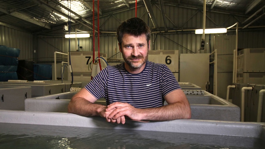 A bearded man in a striped shirt looks solemn as he leans on a tank of shellfish in a shed.
