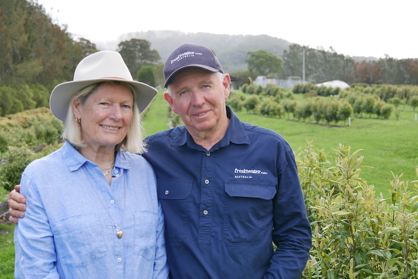 Jane and Al stand infront of rows of lemon myrtle plants smiling