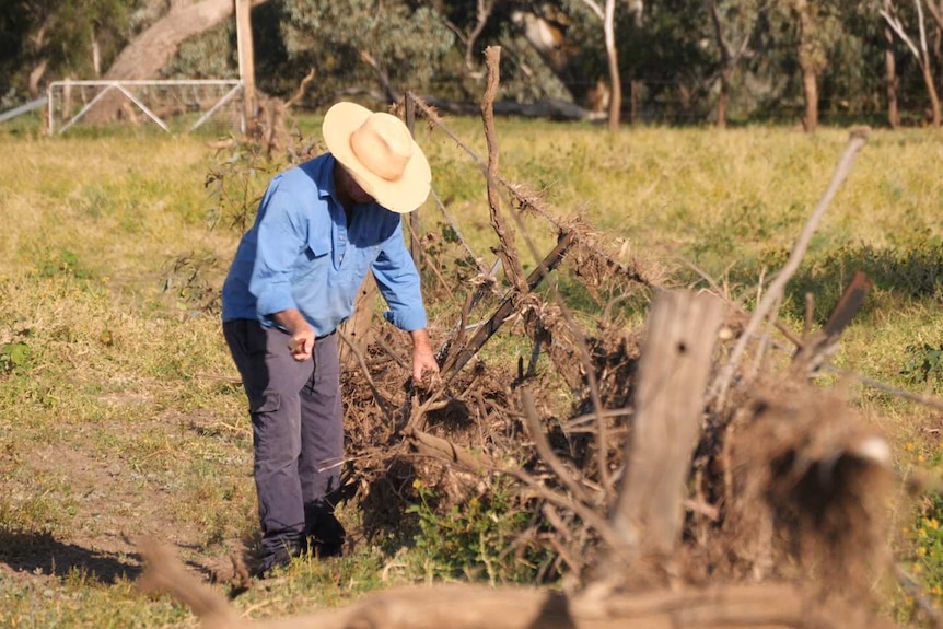 Grazier clears a fence from debris after flood water passed over the property