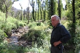 An older man stands in front of a green gully in the bush.