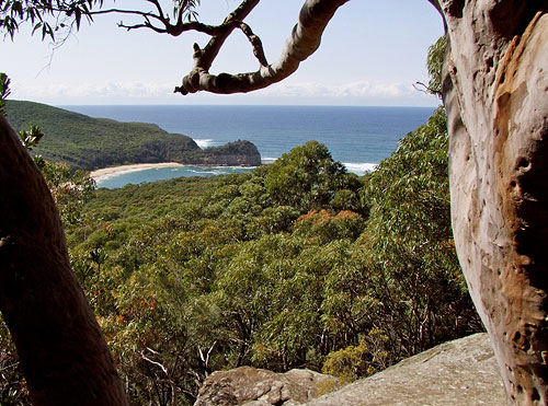 Rock fishermen drown amid 'very choppy' conditions on NSW Central Coast
