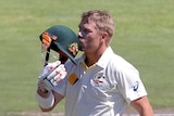 Warner celebrates his ton against South Africa