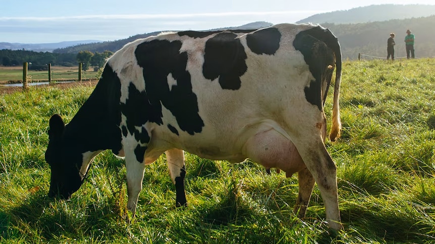 Would you pay more for your milk, if you knew it was climate-friendly?